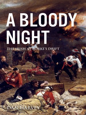 cover image of A Bloody Night